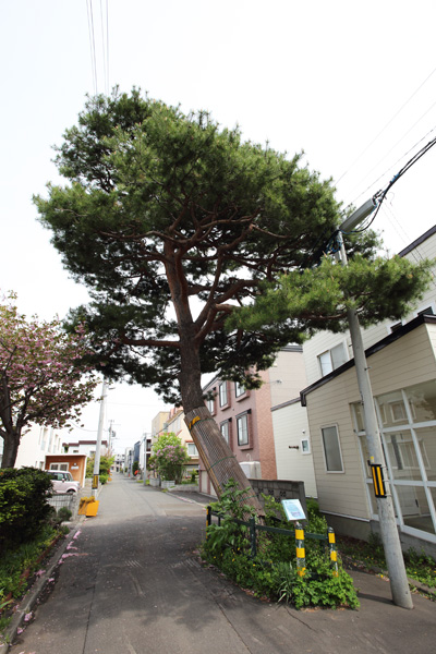 帝国製麻琴似製線工場跡（ていこくせいまことにせいせんこうじょうあと）